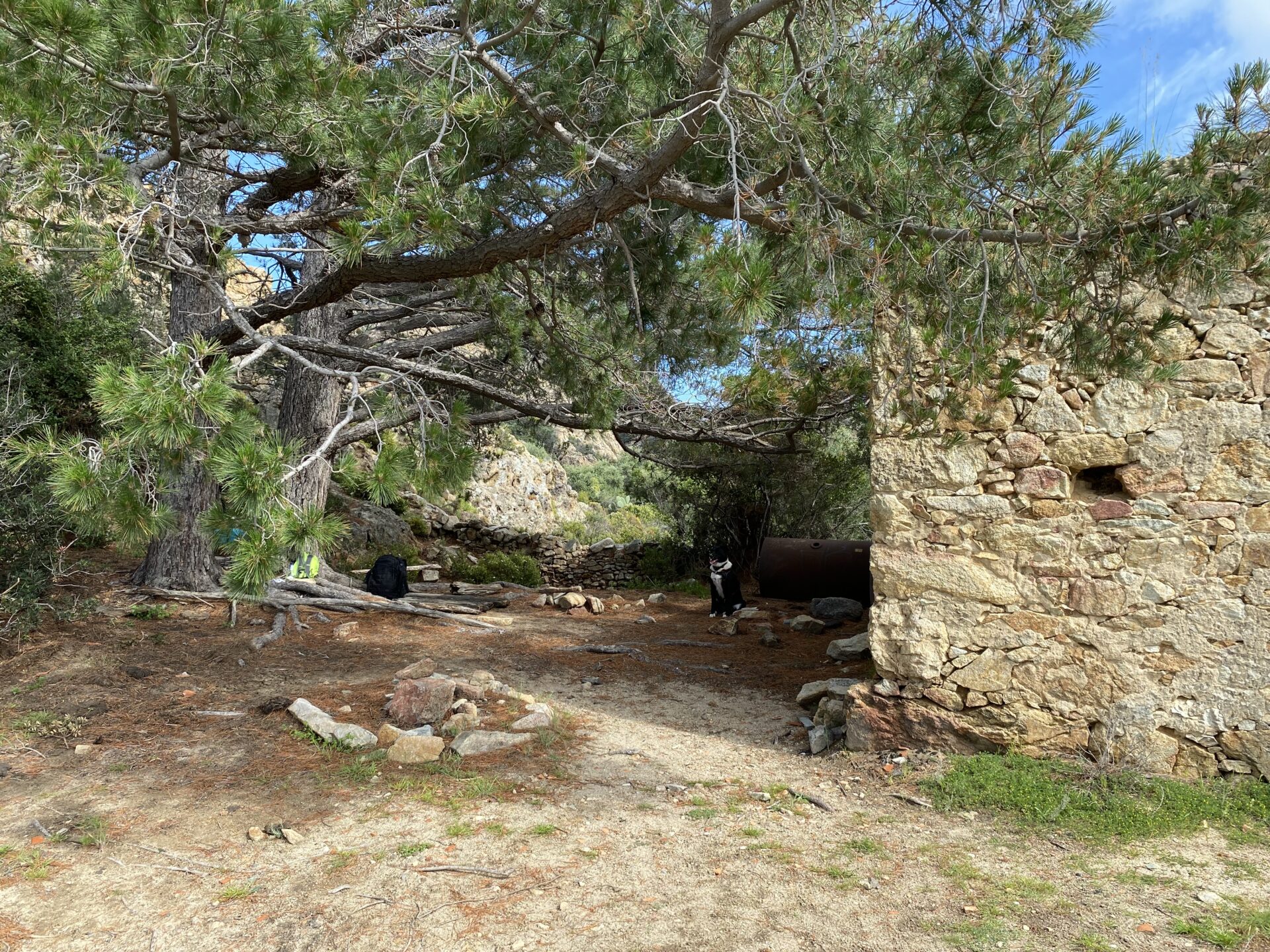 In wachsenden Ringen - ein Lebensrad-Seminar - 04. - 11. April 2026 auf Korsika – Bild 3