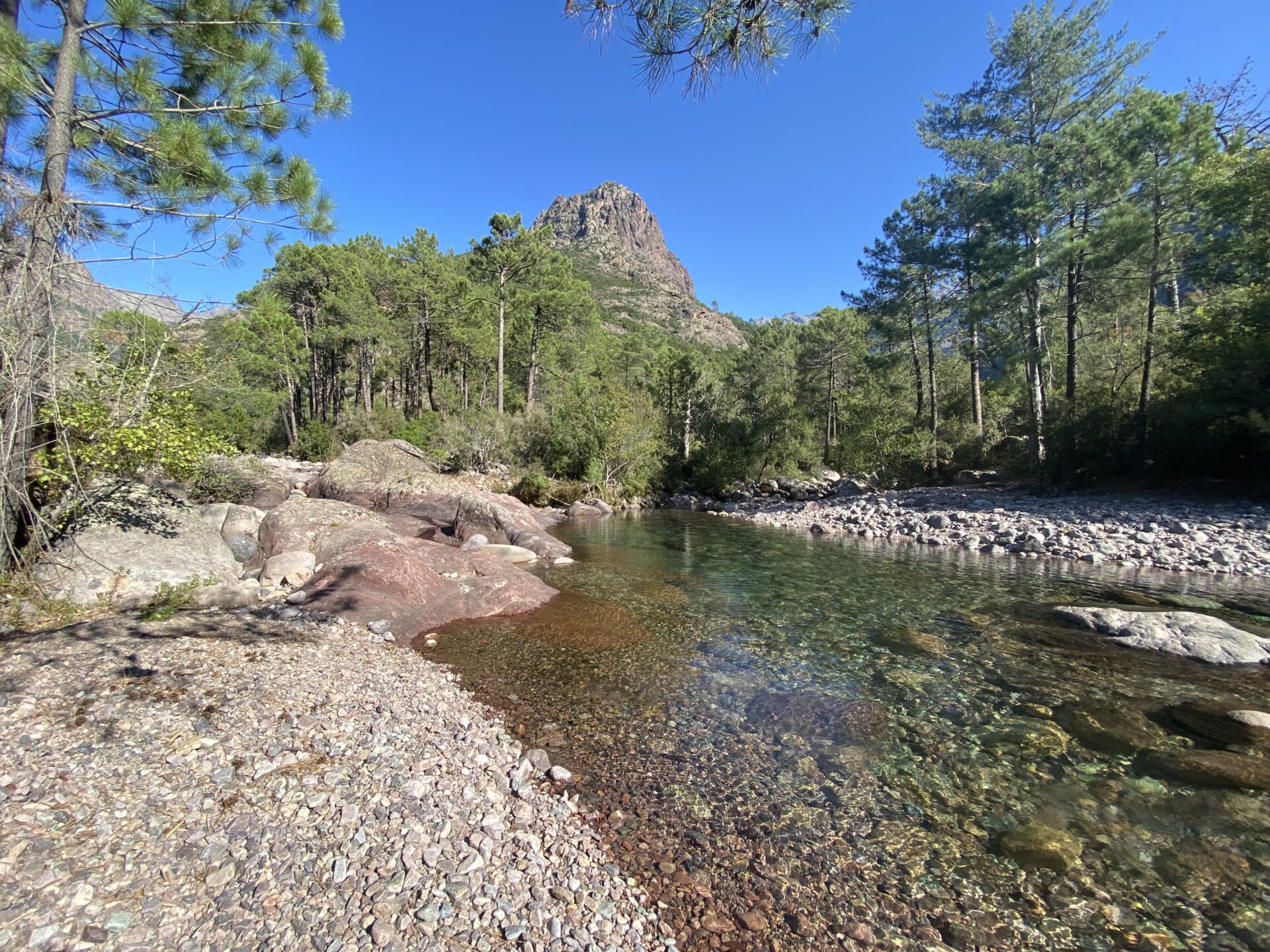 In wachsenden Ringen - ein Lebensrad-Seminar - 04. - 11. April 2026 auf Korsika